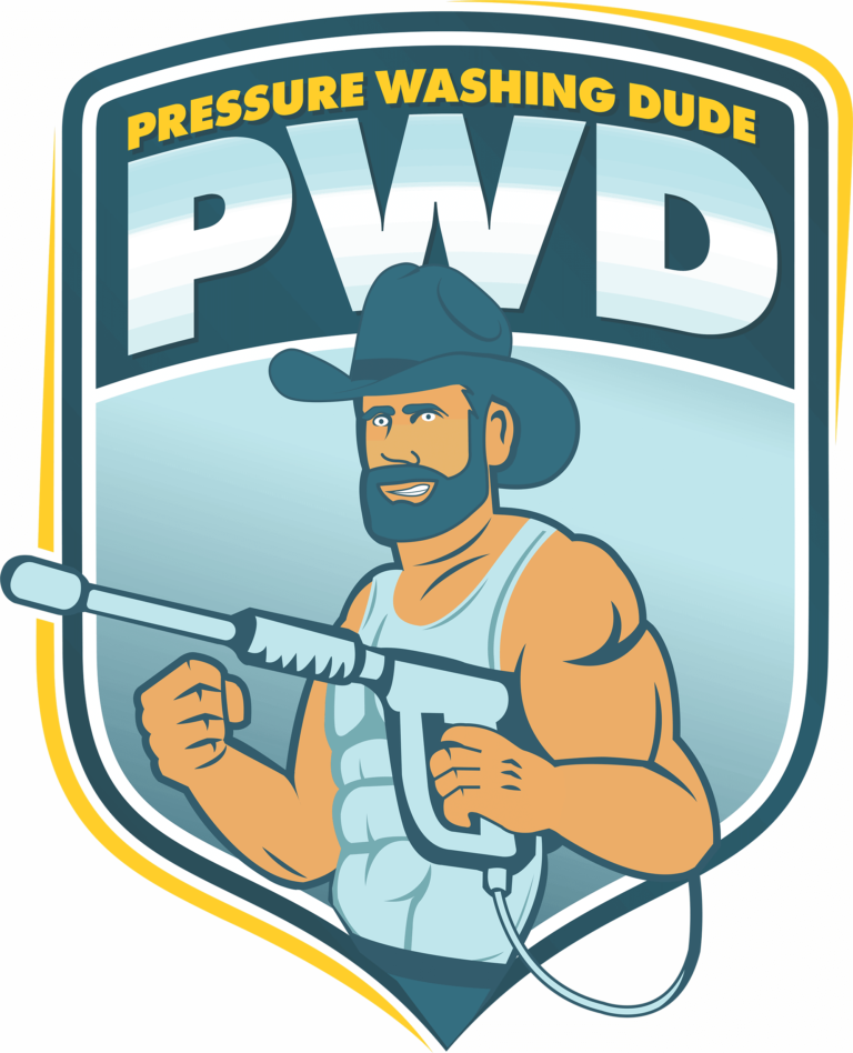 The Pressure Washing Dude logo