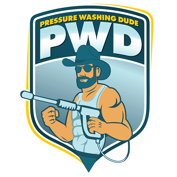The Pressure Washing Dude Logo