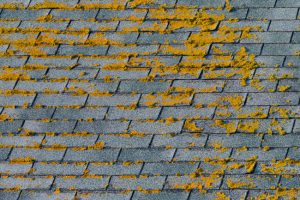 Is Roof Cleaning Really Necessary?